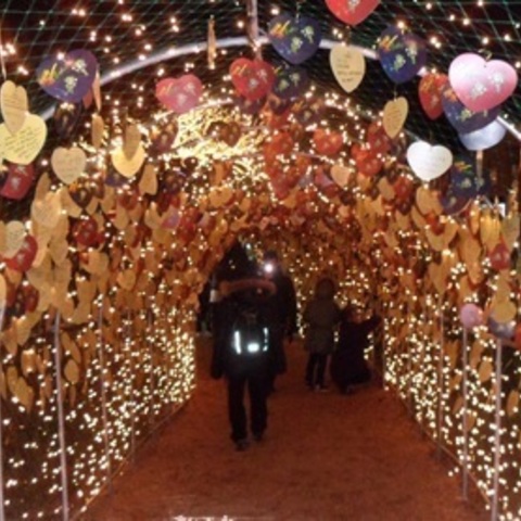 綺麗な夜景が見える！キラキラ光の祭り