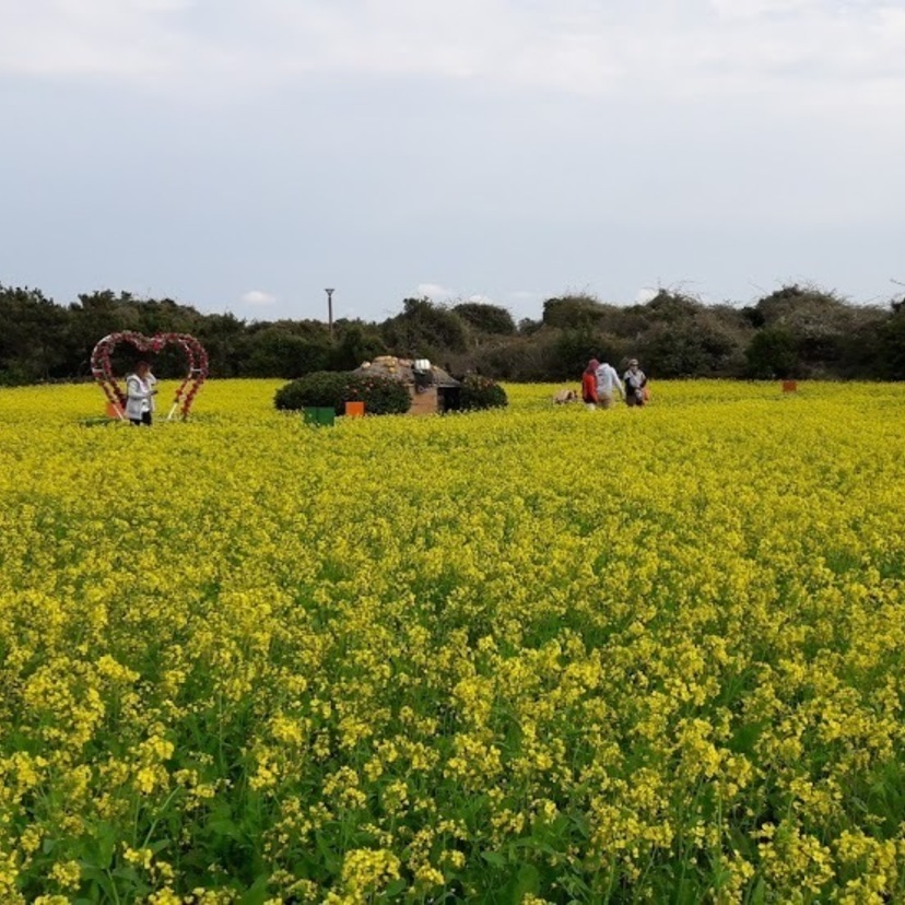 田舎に行ってみたい！そんな時は済州島へGOGO♡Part1